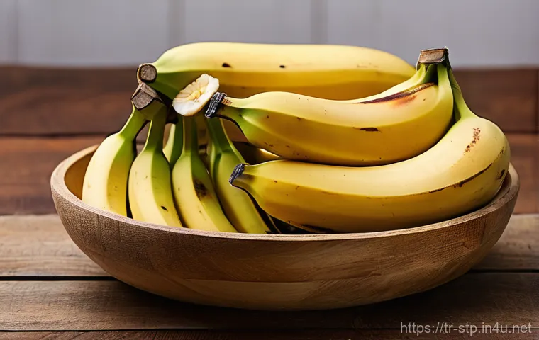 상투메 프린시페의 대표 과일 - **Vibrant Sao Tome Market: A Tapestry of Exotic Fruits and Joyful Faces**
    An eye-level, wide-ang...