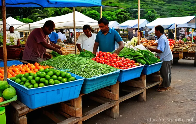 상투메 프린시페 민족 및 문화적 특징 - Here are three detailed image generation prompts in English, based on the provided text, while stric...