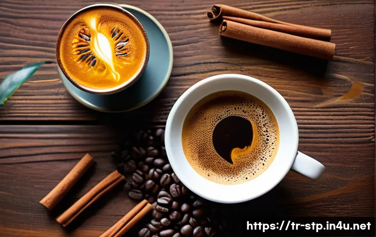 Sao Tome ve Principe'nin Saklı Kahve Cennetinde Unutulmaz Bir Keşif 4 상투메 프린시페 커피 생산지 방문 관련 이미지 2