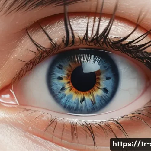 Home 7 상투메 프린시페에서 추천하는 3일 여행 코스 관련 이미지 1